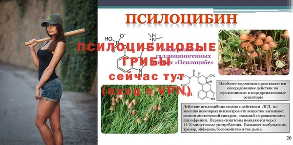 соль курить ск Алзамай