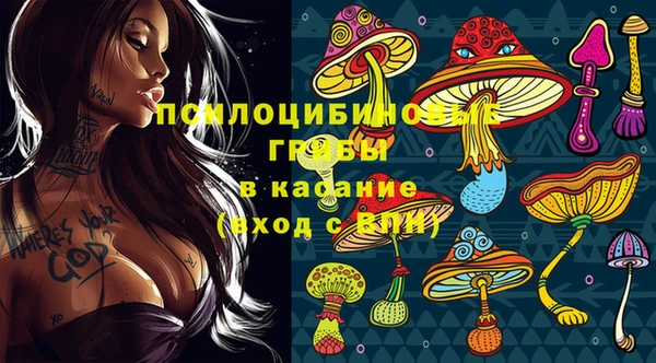 соль курить ск Алзамай