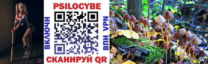 Галлюциногенные грибы GOLDEN TEACHER  где купить   Дзержинск 