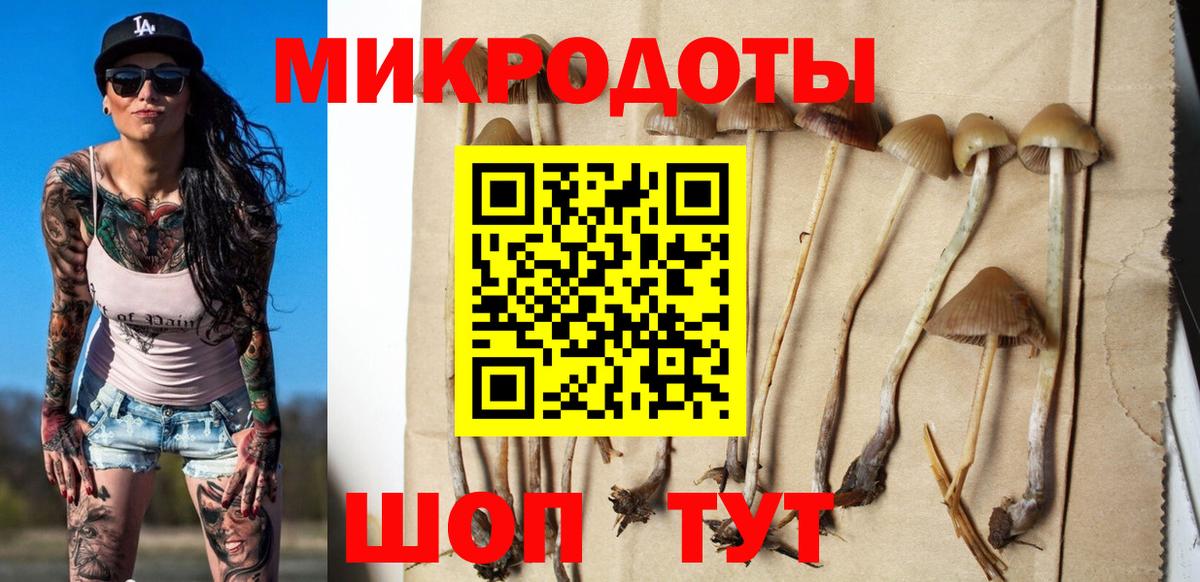Псилоцибиновые грибы GOLDEN TEACHER  Галлюциногенные грибы GOLDEN TEACHER  Вход с VPN  Дзержинск 